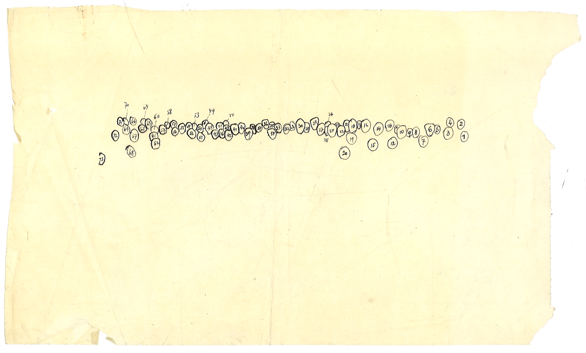 Schema di posizionamento dei soggetti ritratti