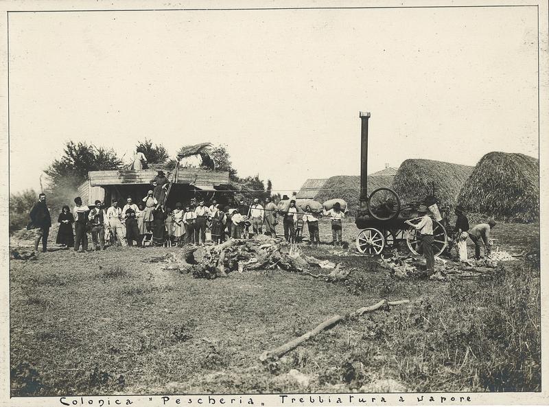 Studio Giacomelli – Venezia, Tenuta di Ca’ Corniani (prima metà del XX sec.)