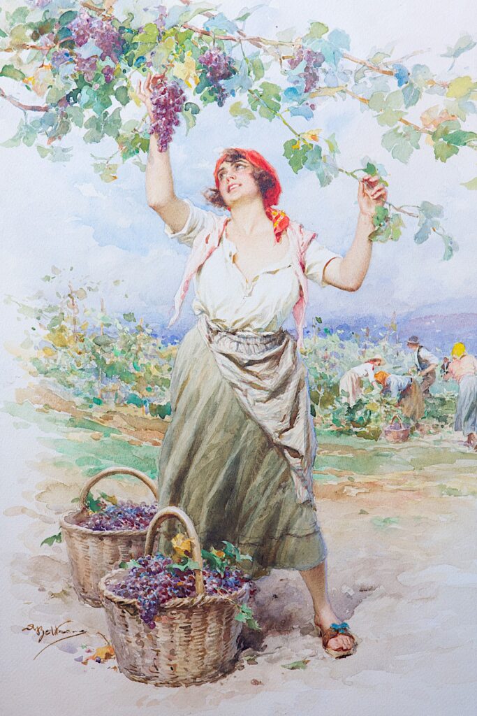 Achille Beltrame, Raccolta dell’uva, watercolour on cardboard (1923) / ph. Massimo Goina