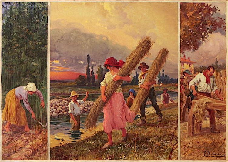 P0013, Osvaldo Ballerio, Trittico della canapa, ph Massimo Goina