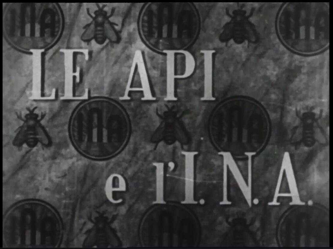 Frames drawn from the film "Le Api e l'INA"